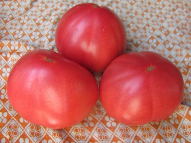 Крупные томаты бабушкин секрет